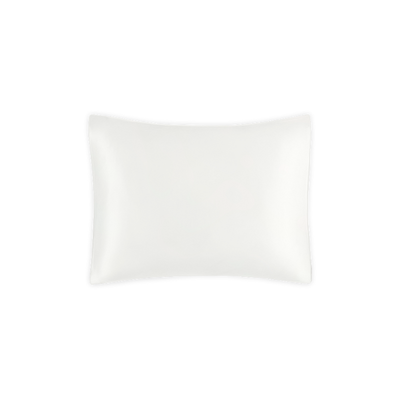Silk Collection Mini Pillow in Bryant - View 1