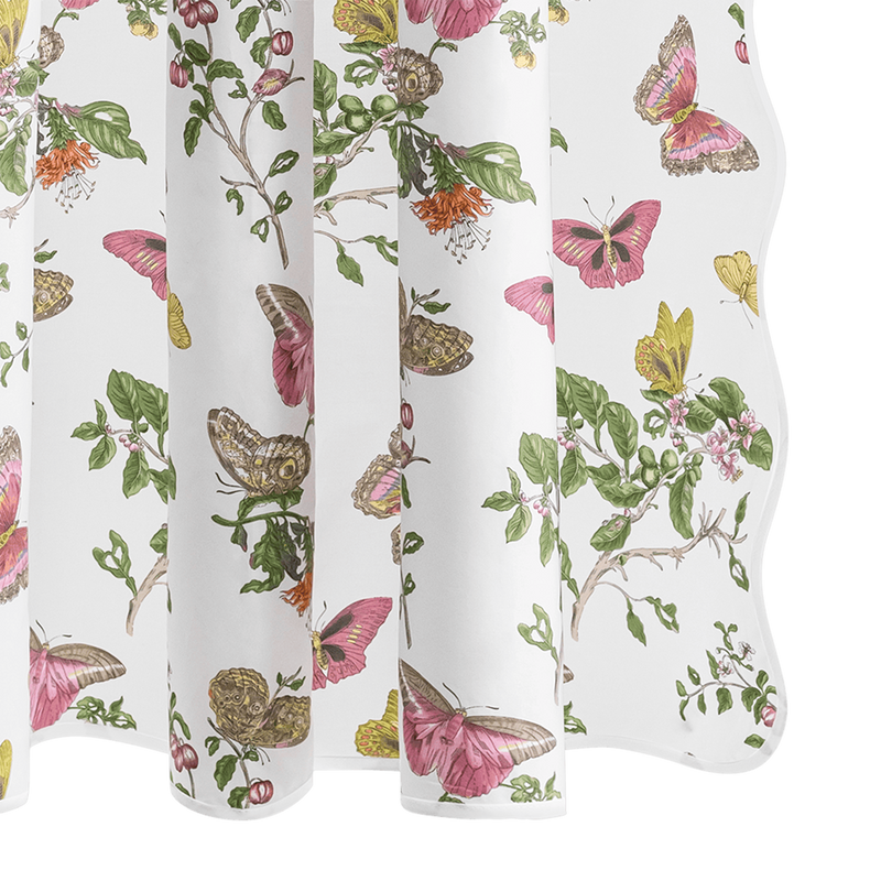 Baudin Butterfly Shower Curtain in Pink - View 1