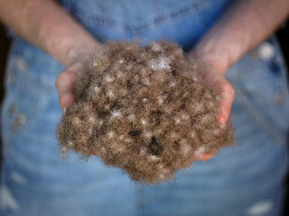 Person in denim overalls holding a handful of raw down clusters.