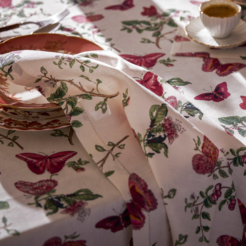 Baudin Butterfly Placemat - set of 4 in Ruby - View 4