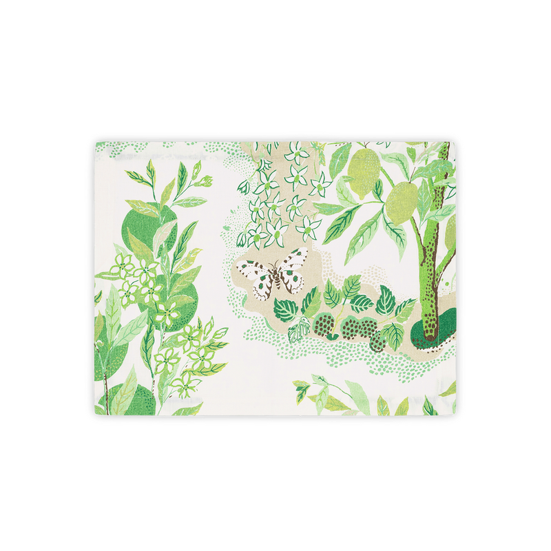 Citrus Garden Placemat - set of 4 in Grass - View 1